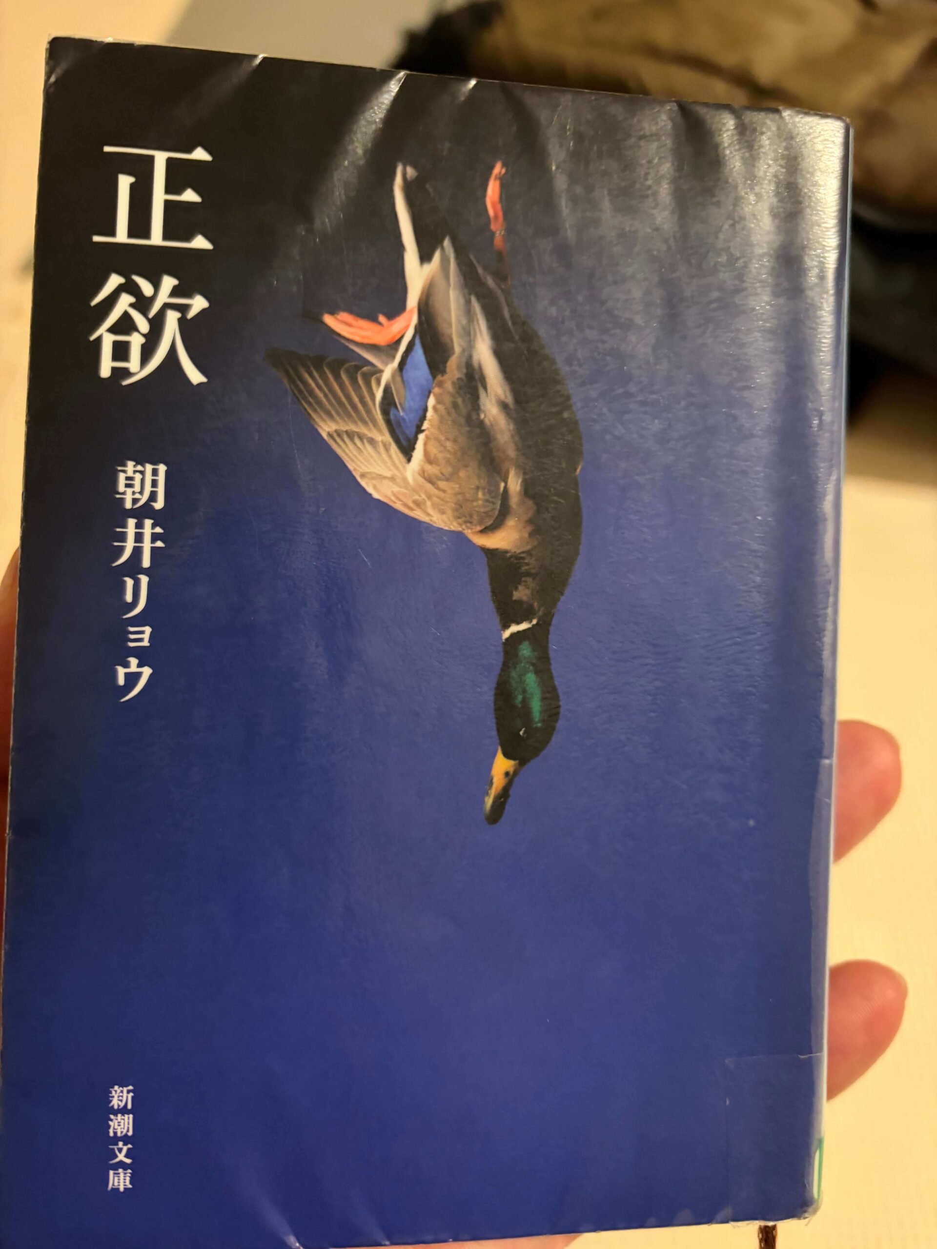 正欲/朝井リョウ